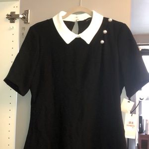 Ivanka Trump Dress size 12